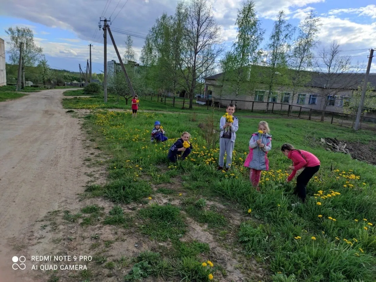 на поиски желтого цветка